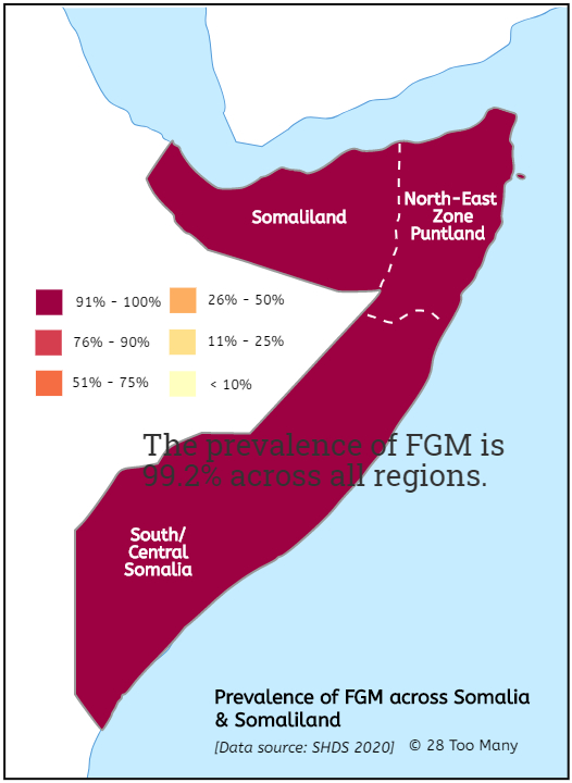 Prevalence Map: FGM in Somaliland (2021, English)